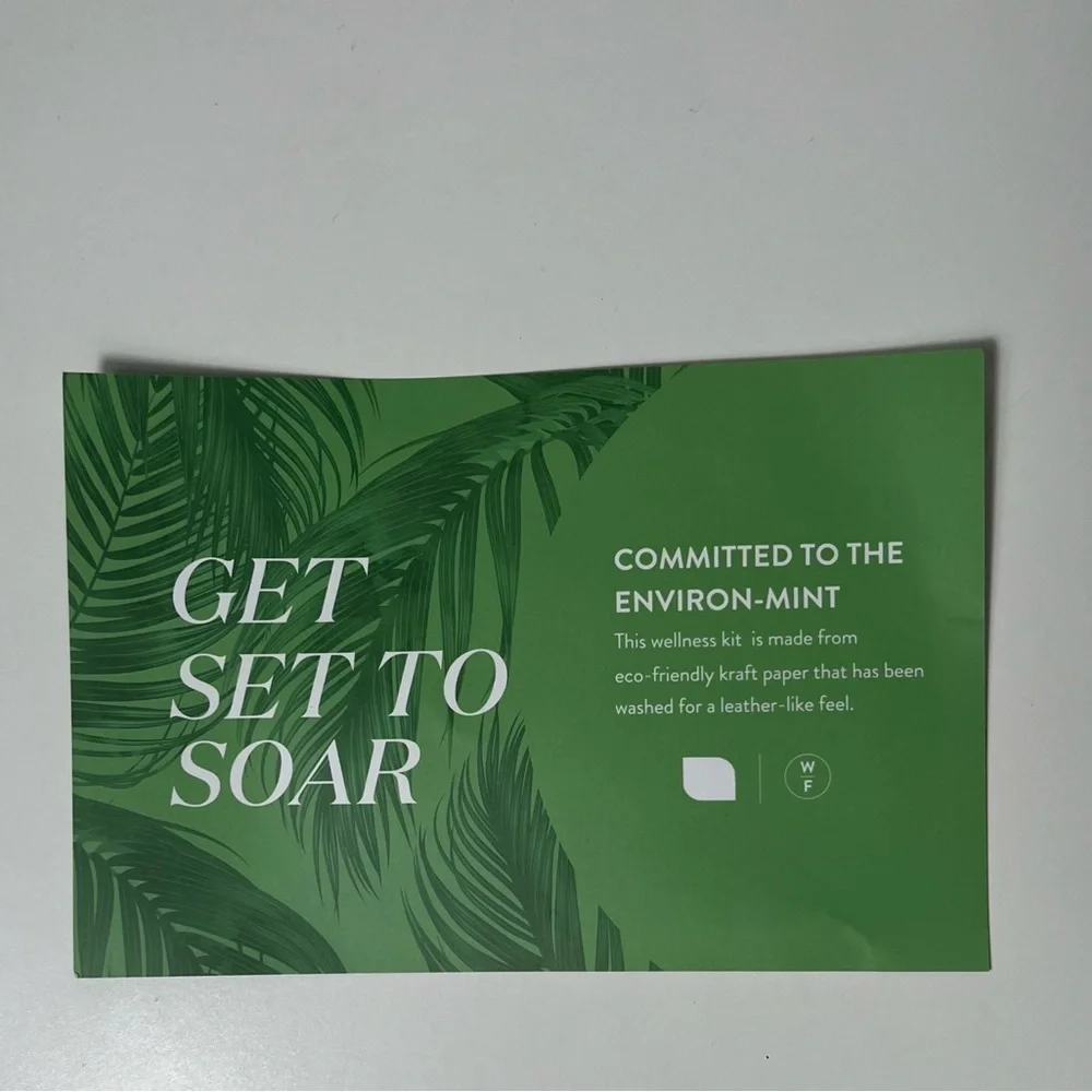 JetBlue Wanderfuel Mint First Business Class Amenity Toiletry Kit Travel Bag